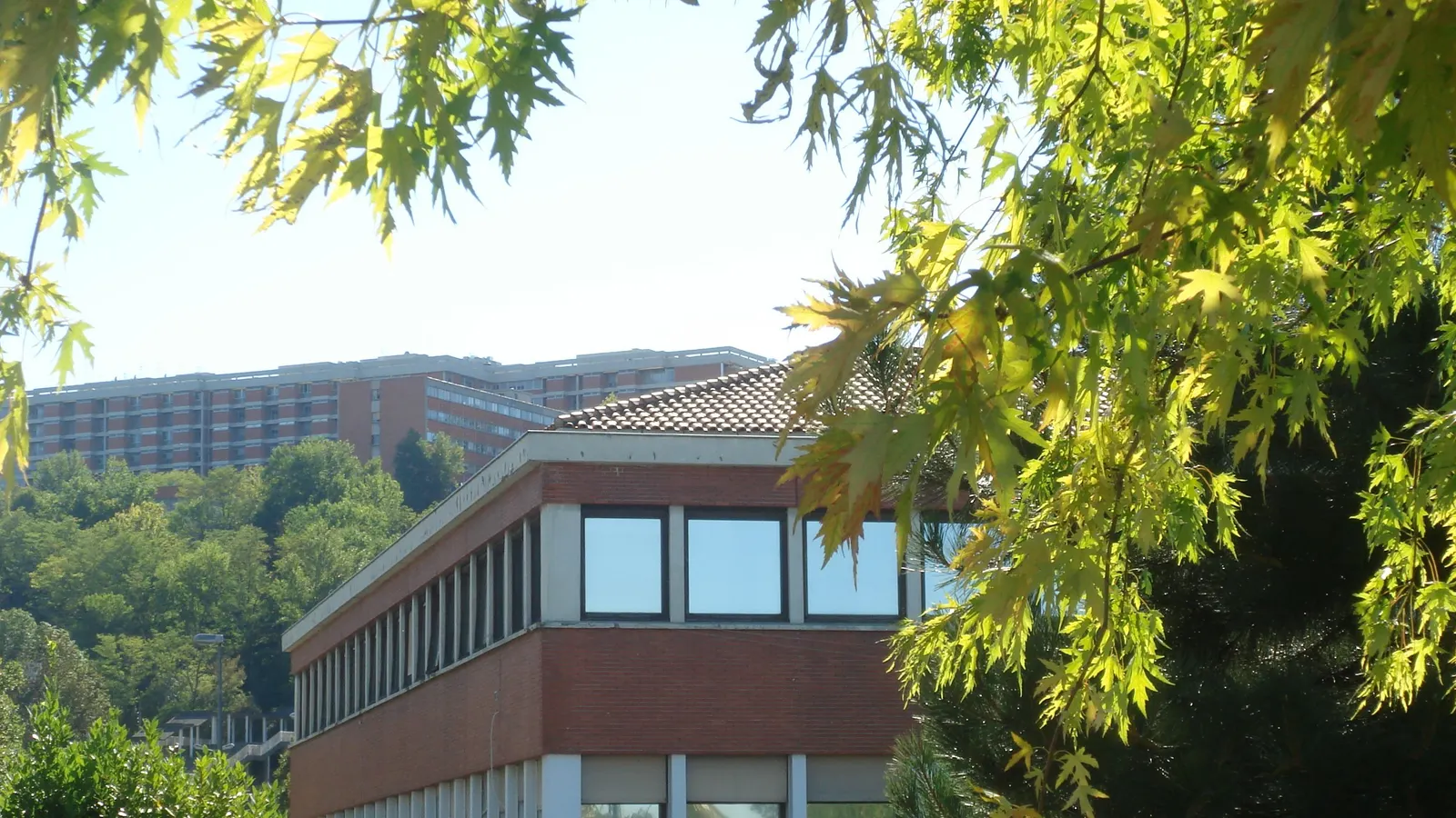 La faculté de Toulouse, dans le secteur universitaire de Rangueil